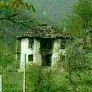 وحشت از کلبه ای در دل انزلی + تصاویر