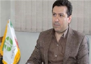 نبود علایمی از بیماری آنفولانزای فوق حاد پرندگان در اردبیل