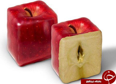 اسرار شگفت انگیز دنیای میوه ها+عکس