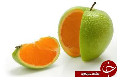 اسرار شگفت انگیز دنیای میوه ها+عکس