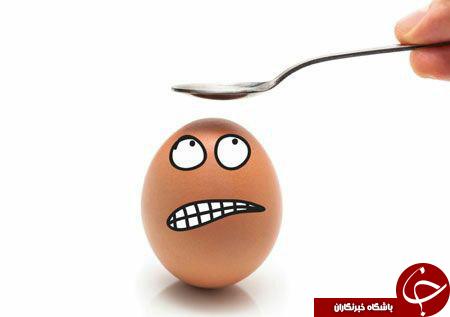 عکس های جالب ودیدنی با تخم مرغ
