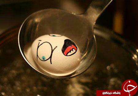 عکس های جالب ودیدنی با تخم مرغ