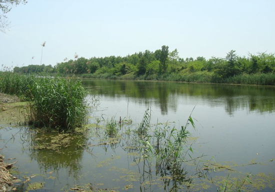 محو باران در ساحل چمخاله