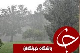 بارش برف و باران در گیلان و کاهش محسوس دما
