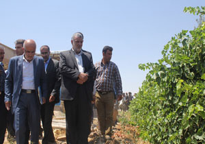 سفر وزیر جهاد کشاورزی به استان فارس