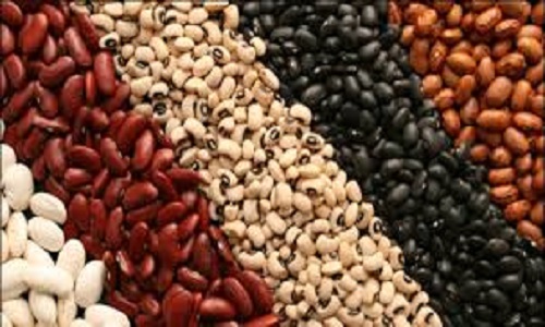ادامه خواب زمستانی بازار +قیمت کالاهای اساسی