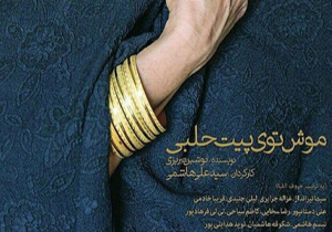 حضور عضو شورای اسلامی شهر تهران در تالار سایه