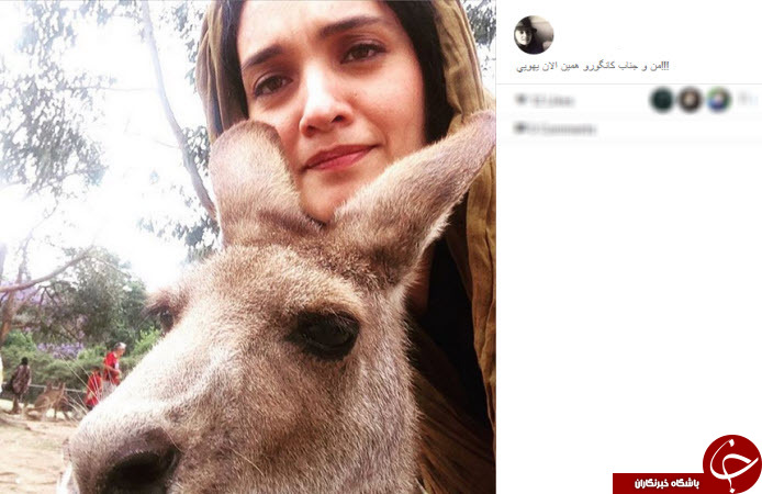 اینستاگردی