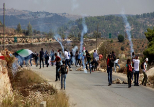 مصدوم شدن ده ها فلسطینی در الخلیل