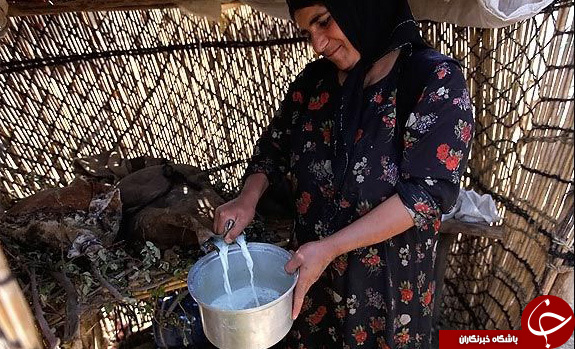 عکس هایی که بوی زندگی می&zwnj;دهد (قسمت نهم)