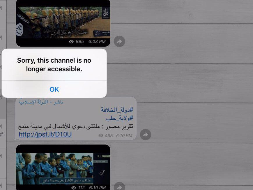 گزارش بیزینس اینسایدر: چرا داعش تا این حد به تلگرام علاقه نشان می دهد؟+ تصاویر