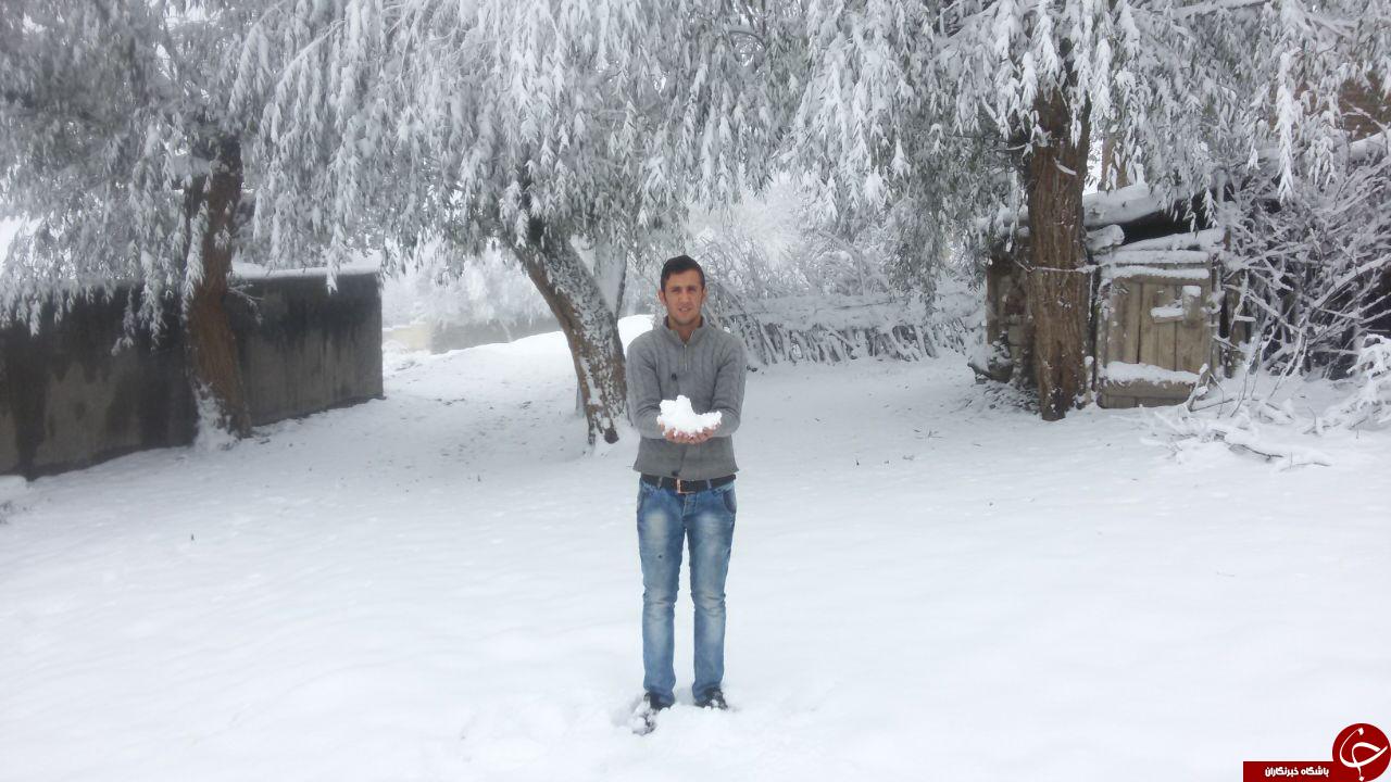 برف سنگین پاییزی + عکس
