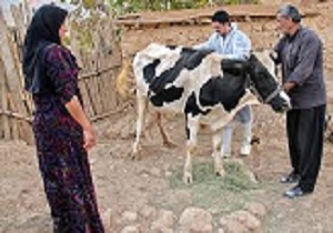 سطح دانش زنان روستایی قزوین ارتقا می یابد