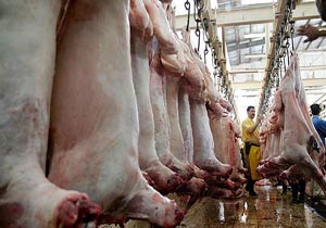 کشتارگاههای صنعتی از امروز تحت سامانه ردیابی گوشت