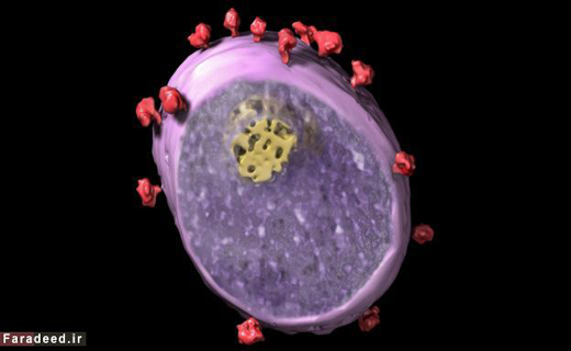 زمان و مکانِ ورود ویروس HIV کدام شهر است؟