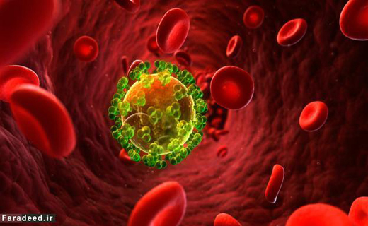 زمان و مکانِ ورود ویروس HIV کدام شهر است؟