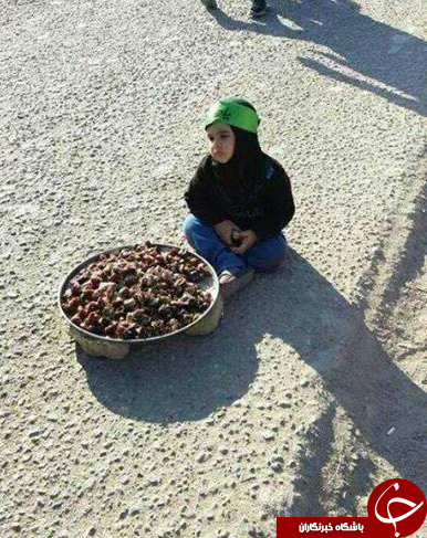مسیر عاشقی کاربران از نجف تا کربلا + تصاویر
