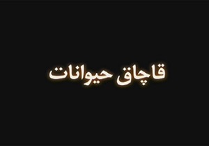 چه حیواناتی به کشور قاچاق می شوند؟ + جدول قیمت