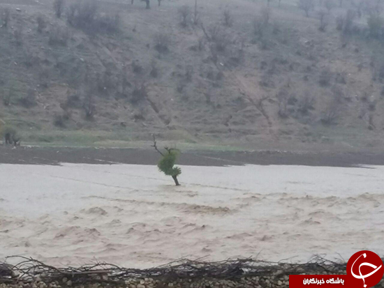 جاری شدن سیل رودخانه مادیان رود + تصاویر