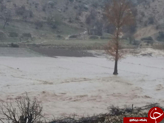 جاری شدن سیل رودخانه مادیان رود + تصاویر
