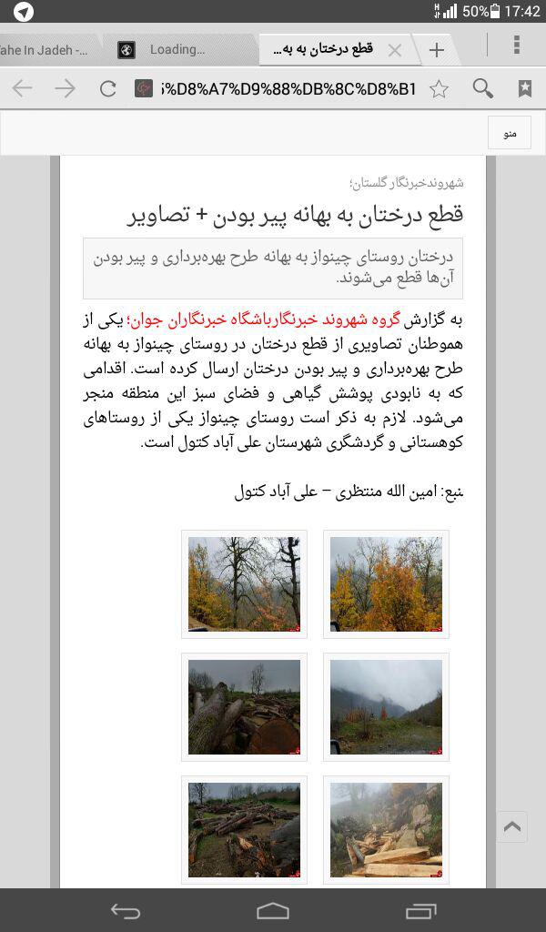 قطع درختان به دلایل نامشخص + فیلم