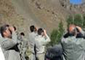 آغاز سرشماری حیات وحش در منطقه حفاظت شده سفیدکوه لرستان