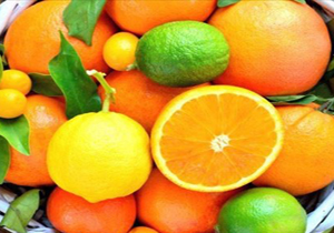 مرکبات سوریه در بازارهای روسیه