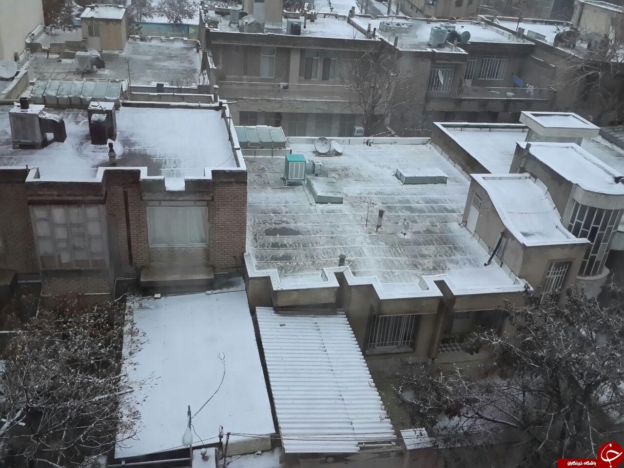 کرمانشاه سفید پوش شد + تصاویر