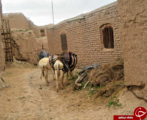 عکس هایی که بوی زندگی می&zwnj;دهد( قسمت 12 )