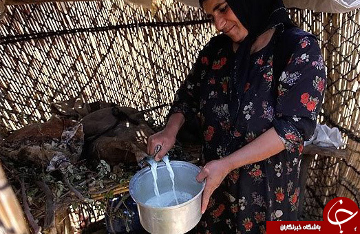 عکس هایی که بوی زندگی می&zwnj;دهد( قسمت 12 )