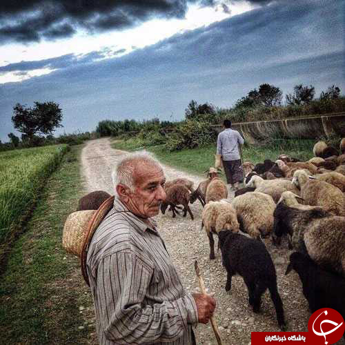 عکس هایی که بوی زندگی می&zwnj;دهد( قسمت 12 )