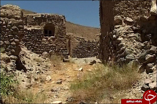 عکس هایی که بوی زندگی می&zwnj;دهد( قسمت 12 )