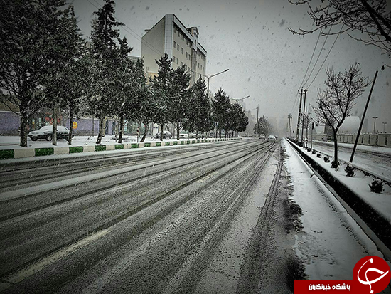 بارش برف و سفید پوش شدن ارومیه + عکس و فیلم