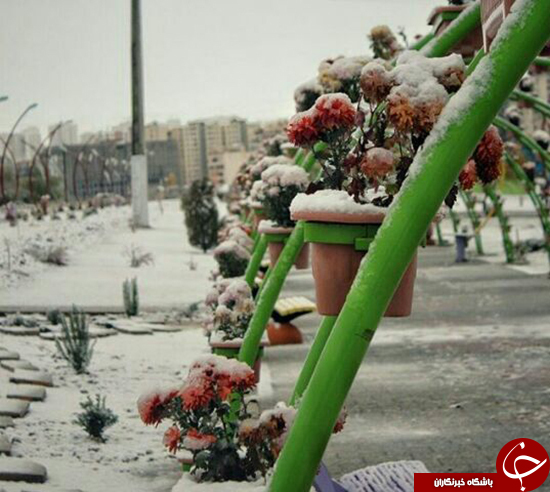 بارش برف و سفید پوش شدن ارومیه + عکس و فیلم
