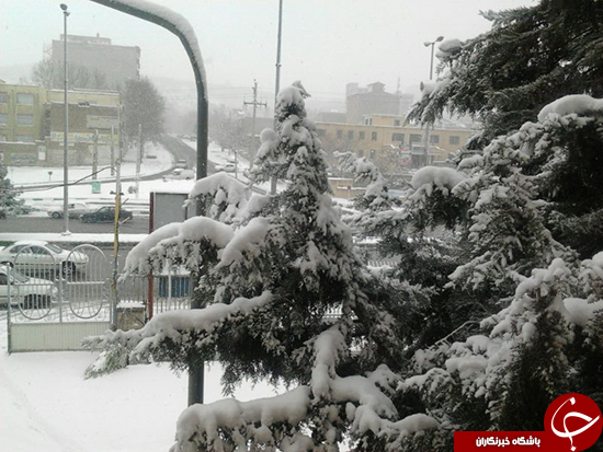 بارش برف و سفید پوش شدن ارومیه + عکس و فیلم