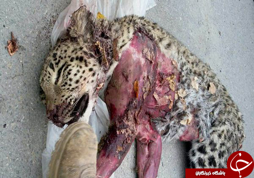 برای مشاهده جذاب&zwnj;ترین اخبار استان&zwnj;ها کلیک کنید
