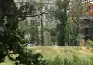 نسل کشی درختان در تهران + فیلم