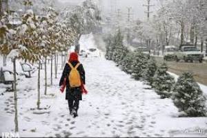 انجماد شازند در شب برفی پاییز