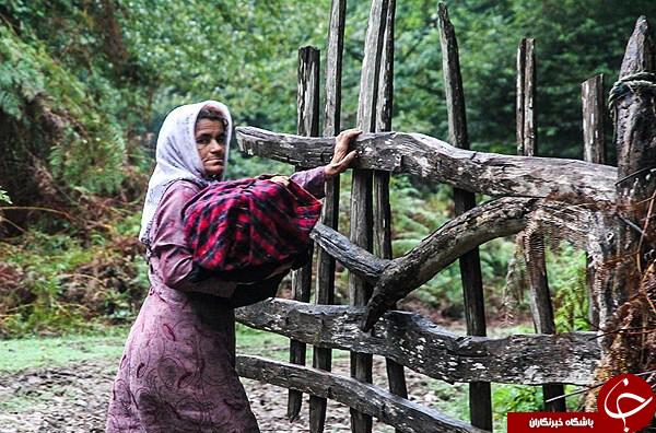 عکس هایی که بوی زندگی می دهد ( قسمت سیزدهم )