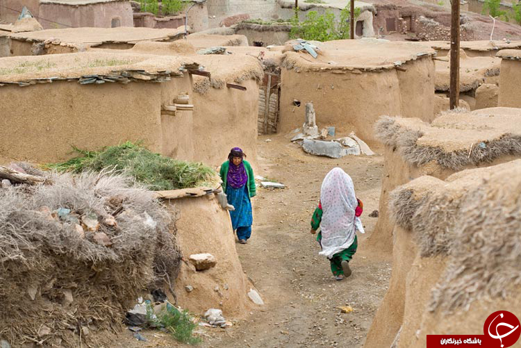 عکس هایی که بوی زندگی می دهد ( قسمت سیزدهم )