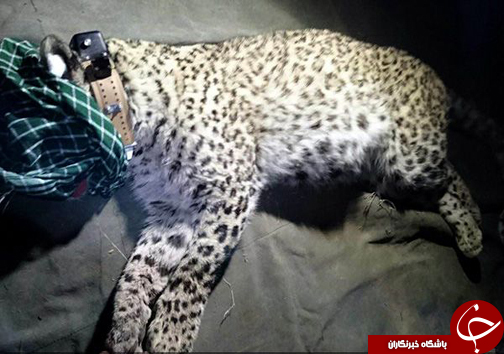 برای مشاهده جذاب&zwnj;ترین اخبار استان&zwnj;ها کلیک کنید