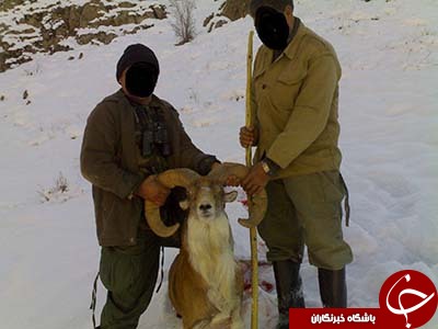 برای مشاهده جذاب&zwnj;ترین اخبار استان&zwnj;ها کلیک کنید
