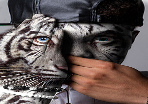 روشی هنرمندانه برای مبارزه با به قفس انداختن حیوانات + تصاویر