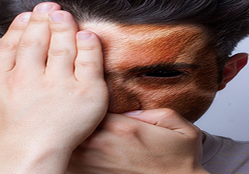 روشی هنرمندانه برای مبارزه با به قفس انداختن حیوانات + تصاویر