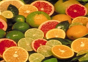 حذف تعرفه صادرات مرکبات