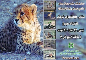 برپایی نمایشگاه عکس حیات وحش در سمنان