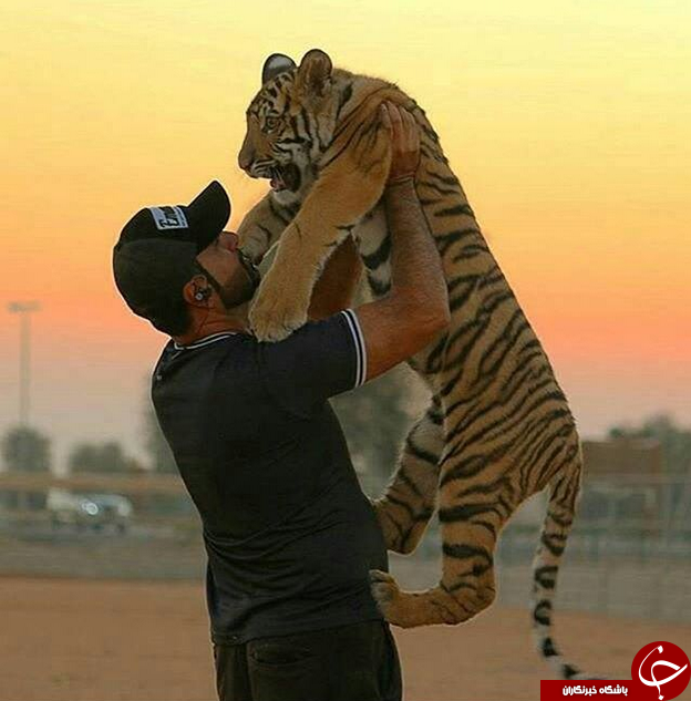 تصاویری خیره کننده از مناطق بکر (قسمت پنجم)
