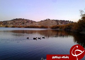 پاکسازي تالاب بين المللي انزلي از سنبل آبي