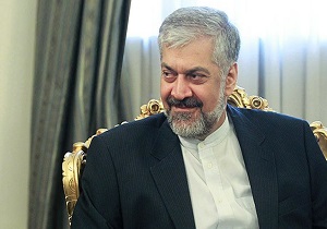 اسلام هراسی در غرب، کمکی به مبارزه با تروریسم نمی&zwnj;کند