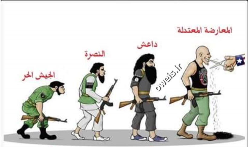 تکامل تروریست های سوریه + عکس